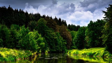 Tranquil River Surrounded by Lush Forest Shadows wallpaper