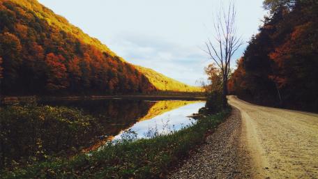 Autumn Reflection by the River wallpaper