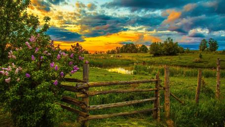 Scenic Sunset Over Countryside Pond with Fence and Flowers wallpaper