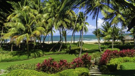 Tropical Serenity by the Sea wallpaper