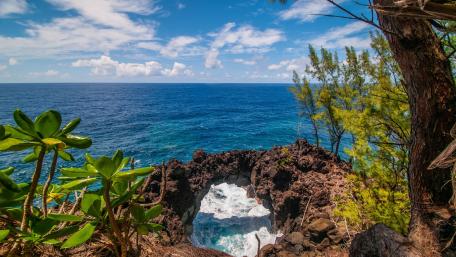 Tropical Arch Overlooking the Sea wallpaper