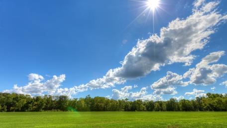 Sunny Meadow Under Bright Blue Sky wallpaper