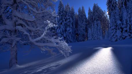 Untouched snow in the blue hour wallpaper