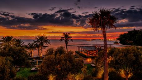 Tropical City Sunset Bliss wallpaper