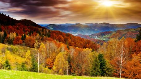 Autumn Serenity in Vibrant Colors wallpaper