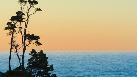 Serene Horizon Over Tranquil Sea Landscape wallpaper