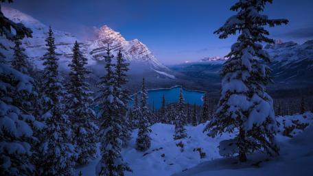 Peyto Lake - Banff National Park (Canada) wallpaper