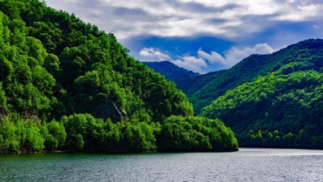 Serene River Bend in Lush Greenery wallpaper