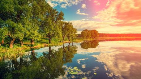 Serene Lakeside Reflection wallpaper