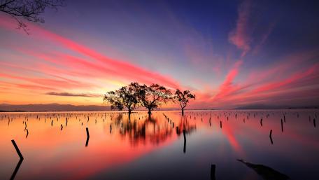 Serene Sunset Over Tranquil Lake wallpaper