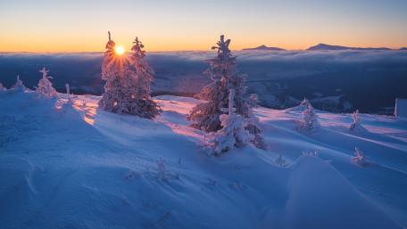 Winter Wonderland at Sunrise Over Snowy Pines wallpaper