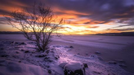 Winter Serenity Over Frozen Lake wallpaper