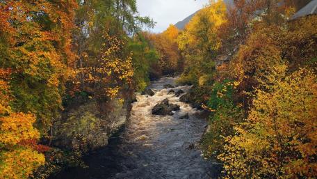 Autumn River in Vibrant Forest Colors wallpaper