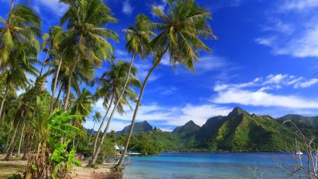 Moorea Island wallpaper
