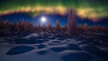 Mystical Night Under the Aurora Borealis wallpaper