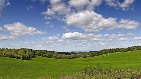 Lush Green Hills Under Fluffy Clouds wallpaper