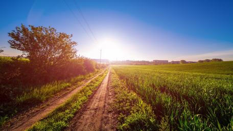 Morning sunshine wallpaper