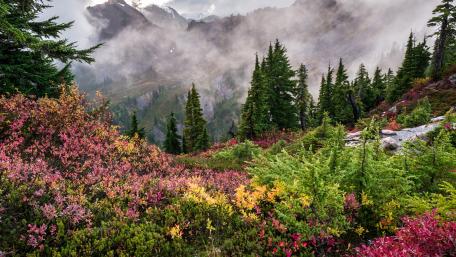 Majestic Autumn Mountainscape Wallpaper wallpaper