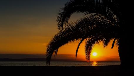 Tropical Sunset Silhouettes Relaxing Beach Scene wallpaper