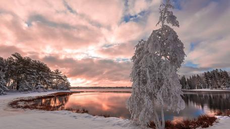 Winter Wonderland by Serene Lake Reflection wallpaper