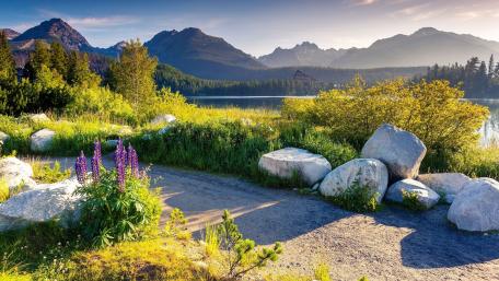 Serenity by the Lakeside Garden wallpaper