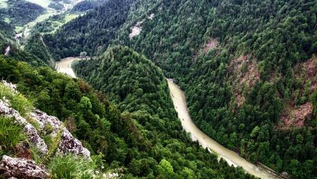 Serene River Bend Amidst Lush Greenery wallpaper