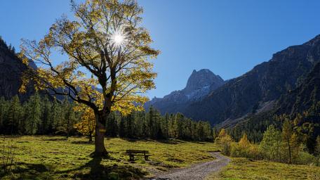 Serene Mountain Retreat in Nature's Embrace wallpaper