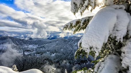 Serene Winter Wonderland Scene wallpaper
