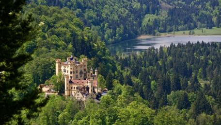 Majestic Hohenschwangau in a Green Sea wallpaper
