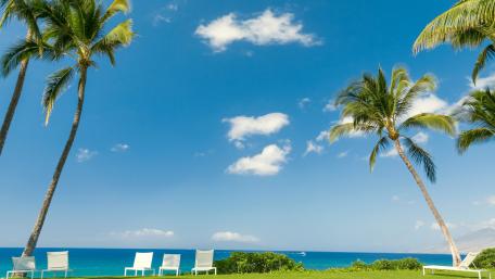 Tropical Paradise Escape Wallpaper wallpaper