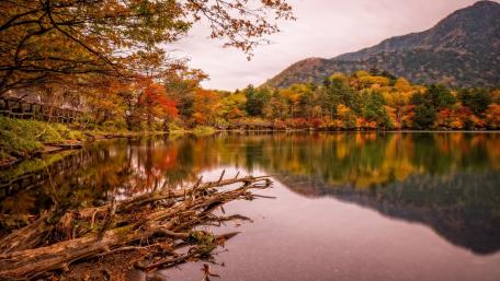 Autumn Serenity in Nature's Reflections wallpaper