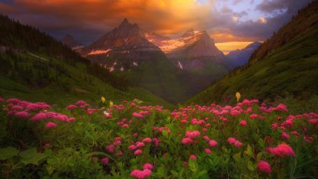Blossoming Serenity in Majestic Mountains wallpaper