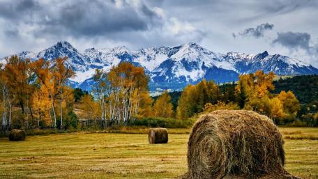 Autumn's Tranquil Harvest in the Alps wallpaper