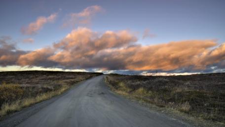 Peaceful Road Through the Heather Fields wallpaper