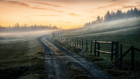 Misty Morning on a Serene Country Road wallpaper