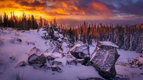 Winter Sunset Over Snowy Forest Landscape wallpaper