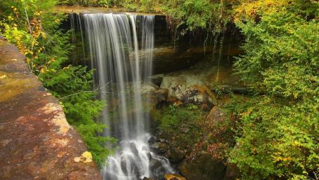 Serene Waterfall Amidst Lush Greenery wallpaper