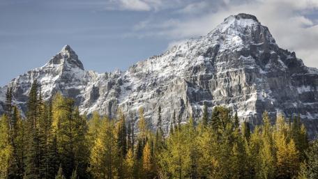 Majestic Mountain Peaks Amidst Golden Larch Trees wallpaper