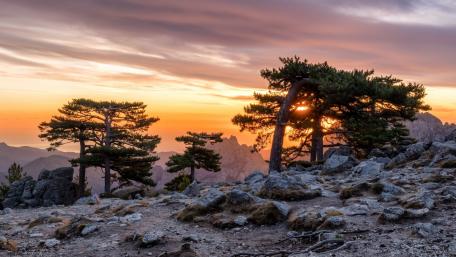 Serene Sunset Over Mountain Landscape with Trees wallpaper