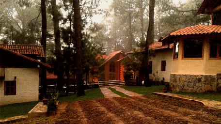 Serene Misty Cottage Retreat in the Woods wallpaper