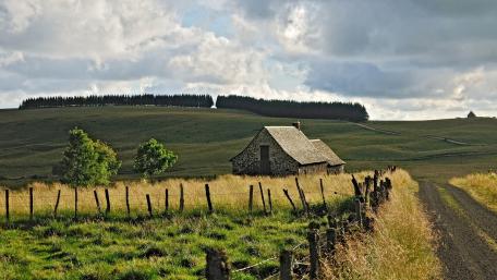Serene Countryside Cottage Amidst Green Fields wallpaper