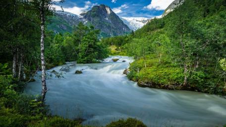 Serenity in Nature's Embrace wallpaper