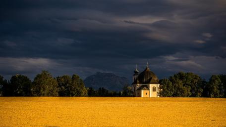 Golden Fields Beneath Dramatic Skies wallpaper