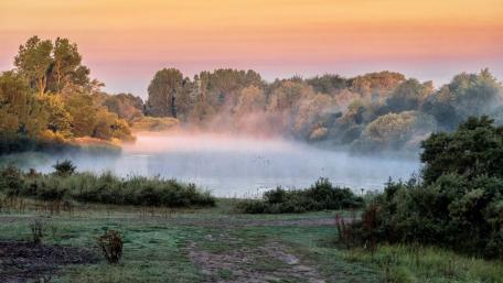 Tranquil Lake at Dawn Misty Reflection in Nature's Embrace wallpaper