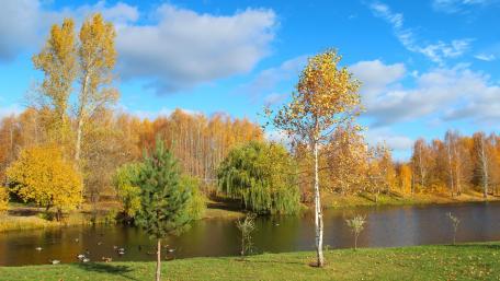 Autumn Serenity by the River wallpaper