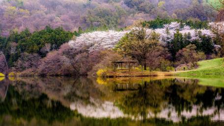 Serene Spring Lake Reflection wallpaper