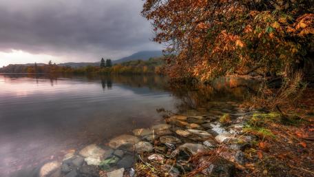 Autumn Serenity by the Lake wallpaper