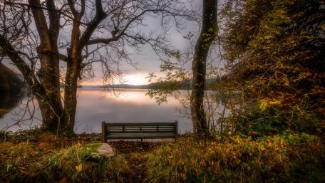 Lakeside bench wallpaper