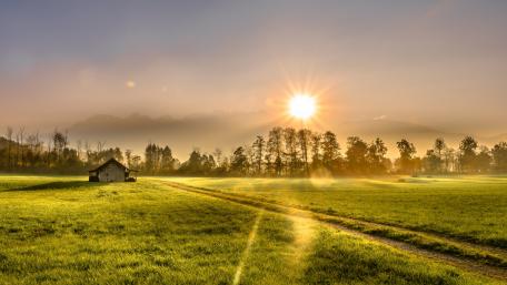 Tranquil Sunrise Over Serene Fields wallpaper