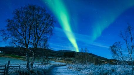 Majestic Aurora Borealis Over a Winter Landscape wallpaper